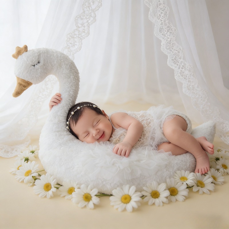 Newborn Photography Prop Swan  - Photography Outfit review and price