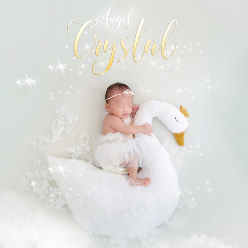 Newborn Photography Prop Swan  - Photography Outfit review and price