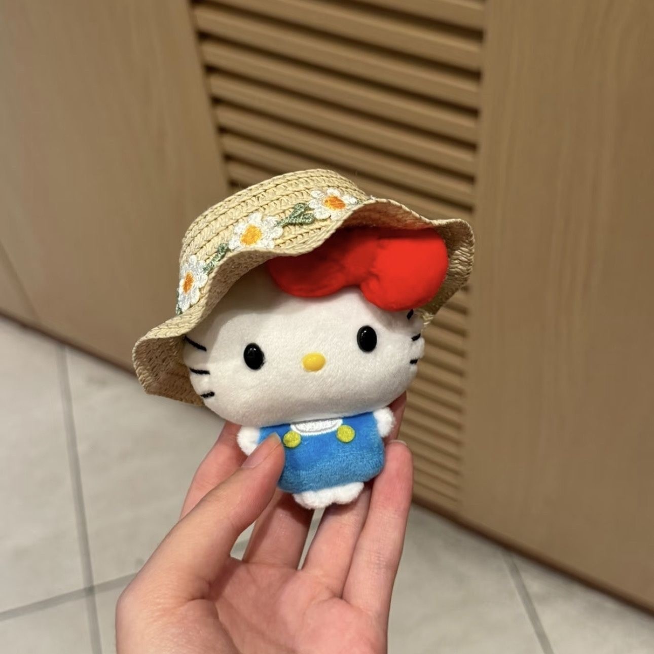 Sporty Black Skin Plush Keycha - Photography Rules review and price